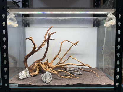 2尺標準缸(60*30*36) 沉木造景