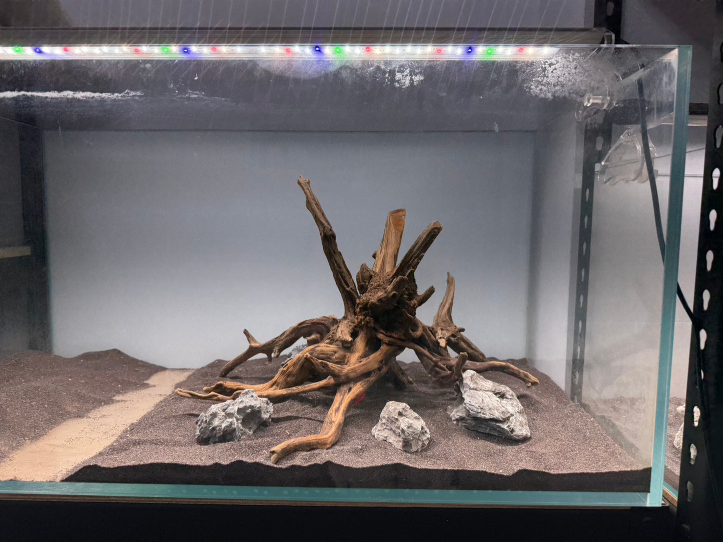 2尺高缸(60*45*45) 沉木造景