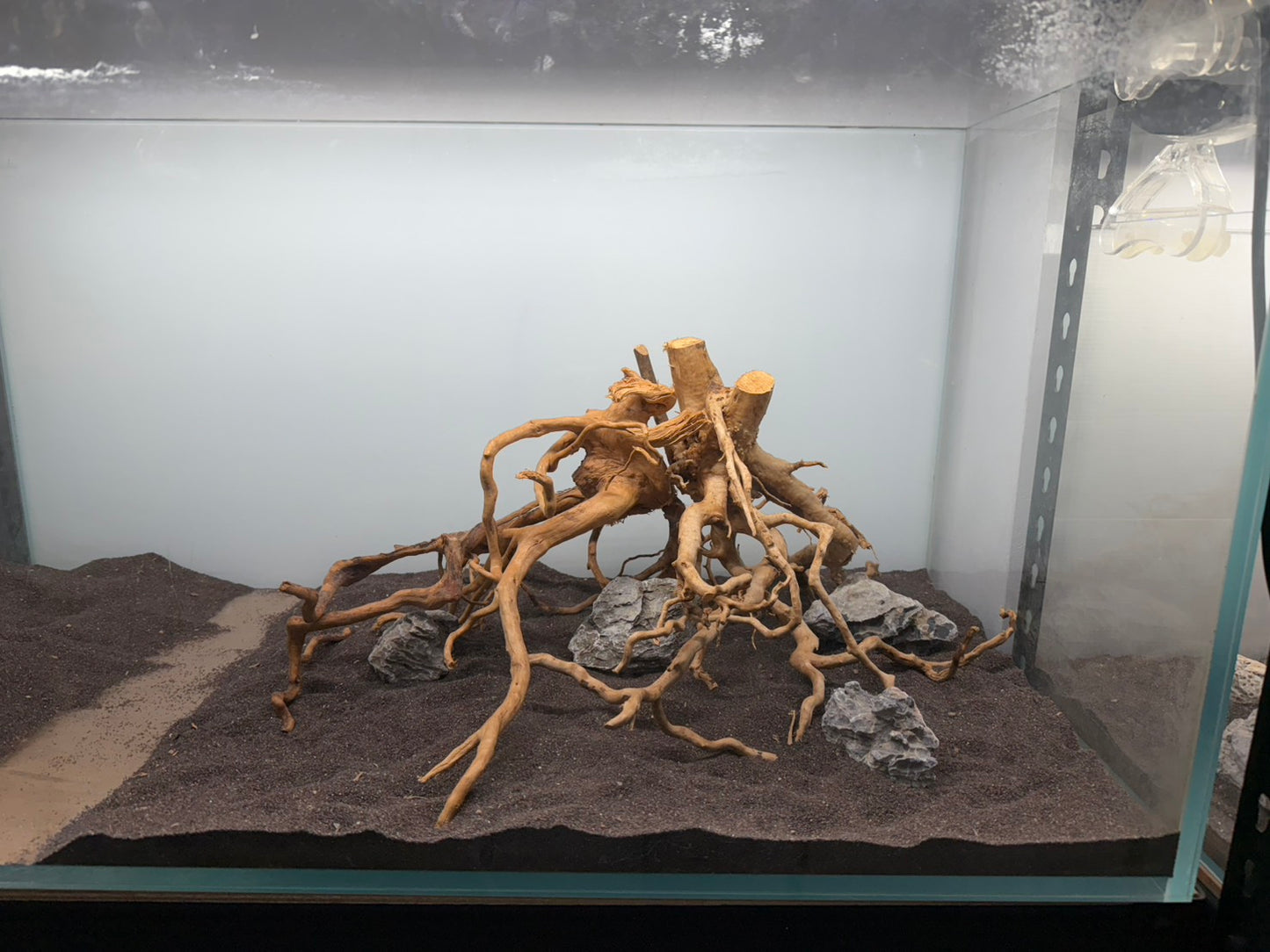 2尺高缸(60*45*45) 沉木造景