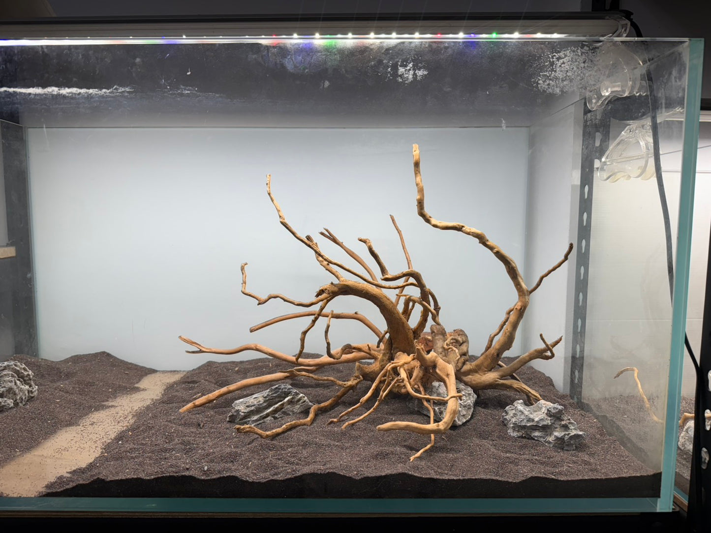 2尺高缸(60*45*45) 沉木造景