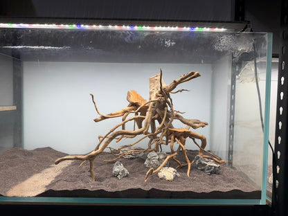 2尺高缸(60*45*45) 沉木造景