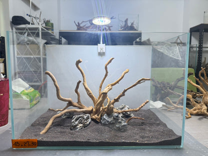 1.5尺標準缸(45*27*30) 沉木造景