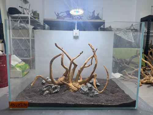 1.5尺標準缸(45*27*30) 沉木造景