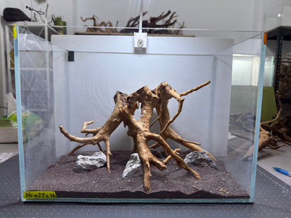 1.2尺標準缸(36*22*26) 沉木造景