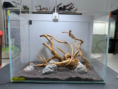 1.2尺標準缸(36*22*26) 沉木造景