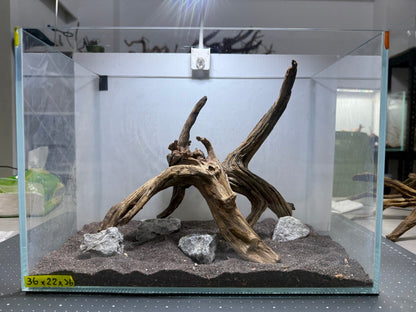 1.2尺標準缸(36*22*26) 沉木造景