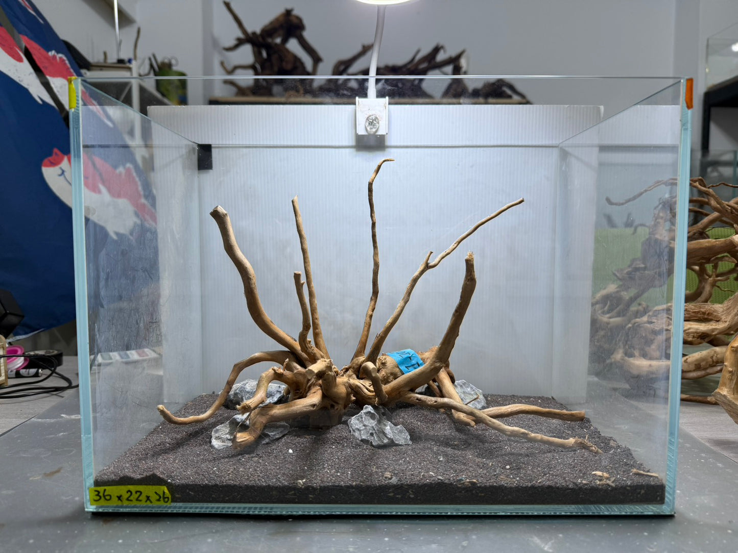 1.2尺標準缸(36*22*26) 沉木造景