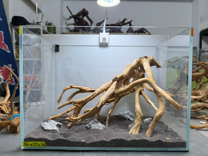 1.2尺標準缸(36*22*26) 沉木造景