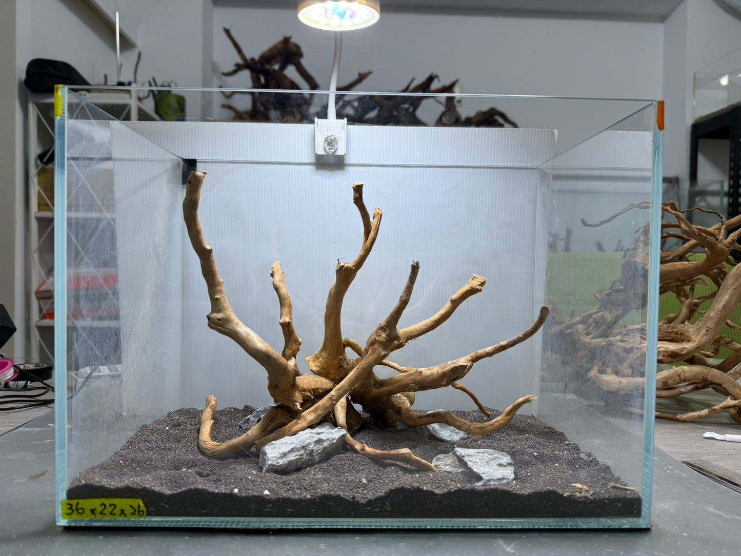 1.2尺標準缸(36*22*26) 沉木造景