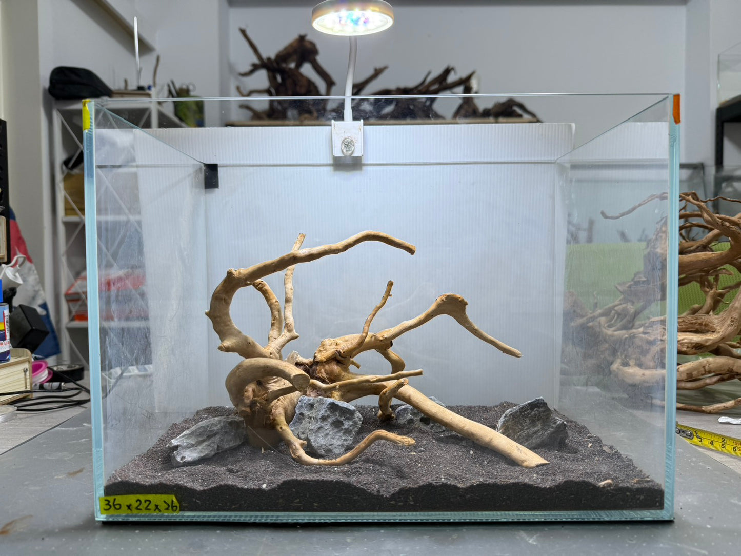 1.2尺標準缸(36*22*26) 沉木造景