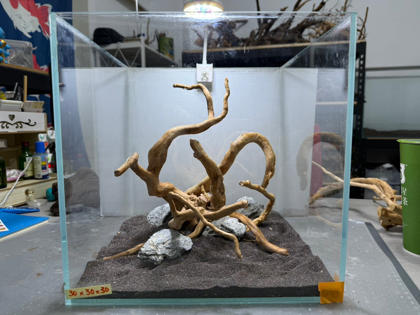 30立方缸(30*30*30) 沉木造景