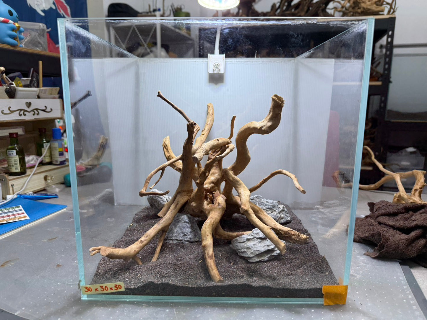 30立方缸(30*30*30) 沉木造景