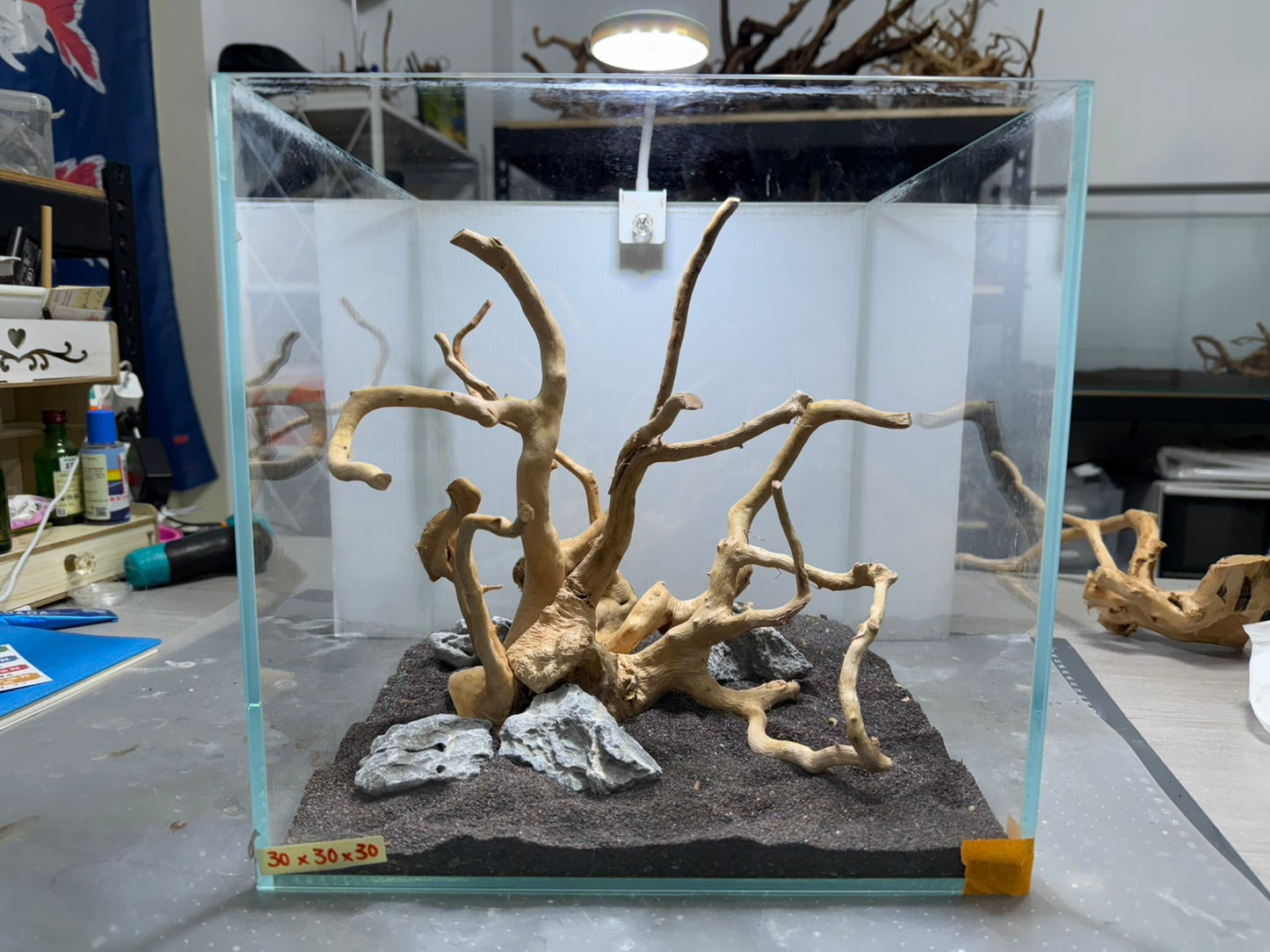 30立方缸(30*30*30) 沉木造景