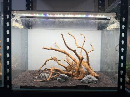 2尺標準缸(60*30*36) 沉木造景