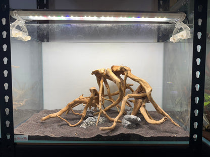 2尺標準缸(60*30*36) 沉木造景