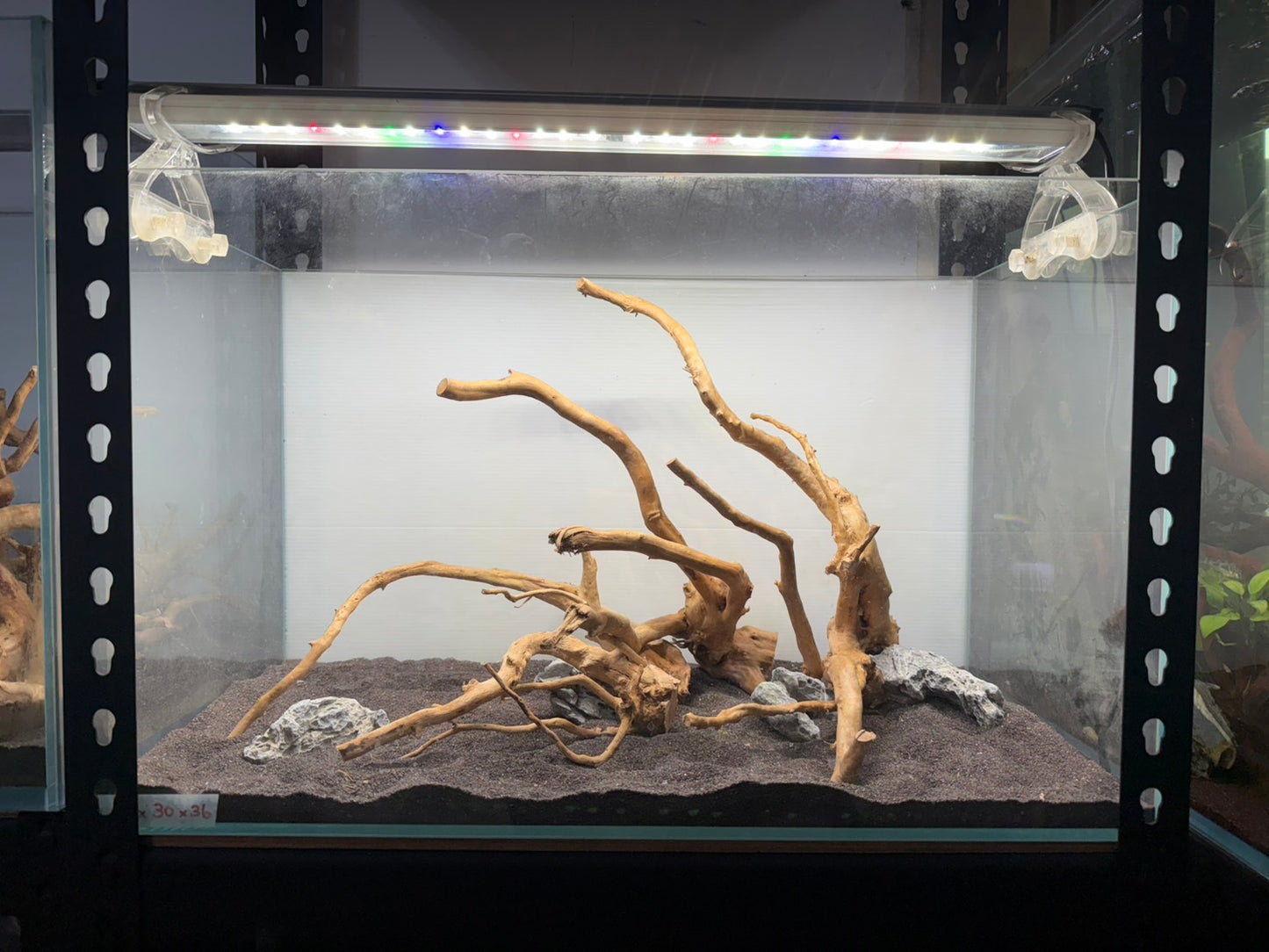 2尺標準缸(60*30*36) 沉木造景