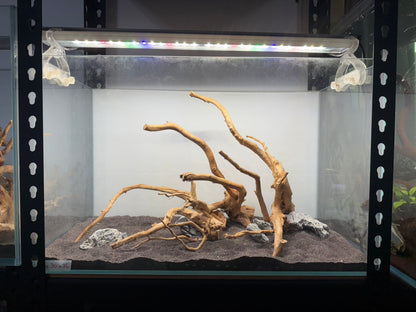 2尺標準缸(60*30*36) 沉木造景