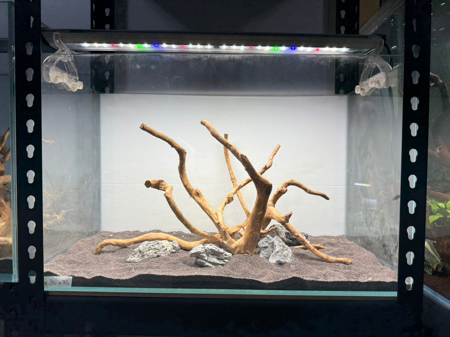 2尺標準缸(60*30*36) 沉木造景