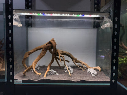 2尺標準缸(60*30*36) 沉木造景