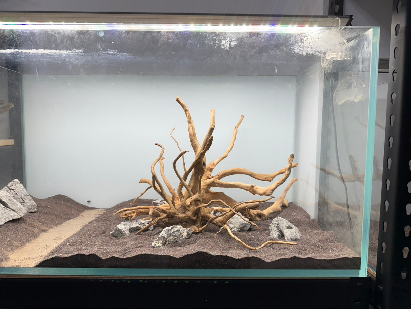 2尺高缸(60*45*45) 沉木造景