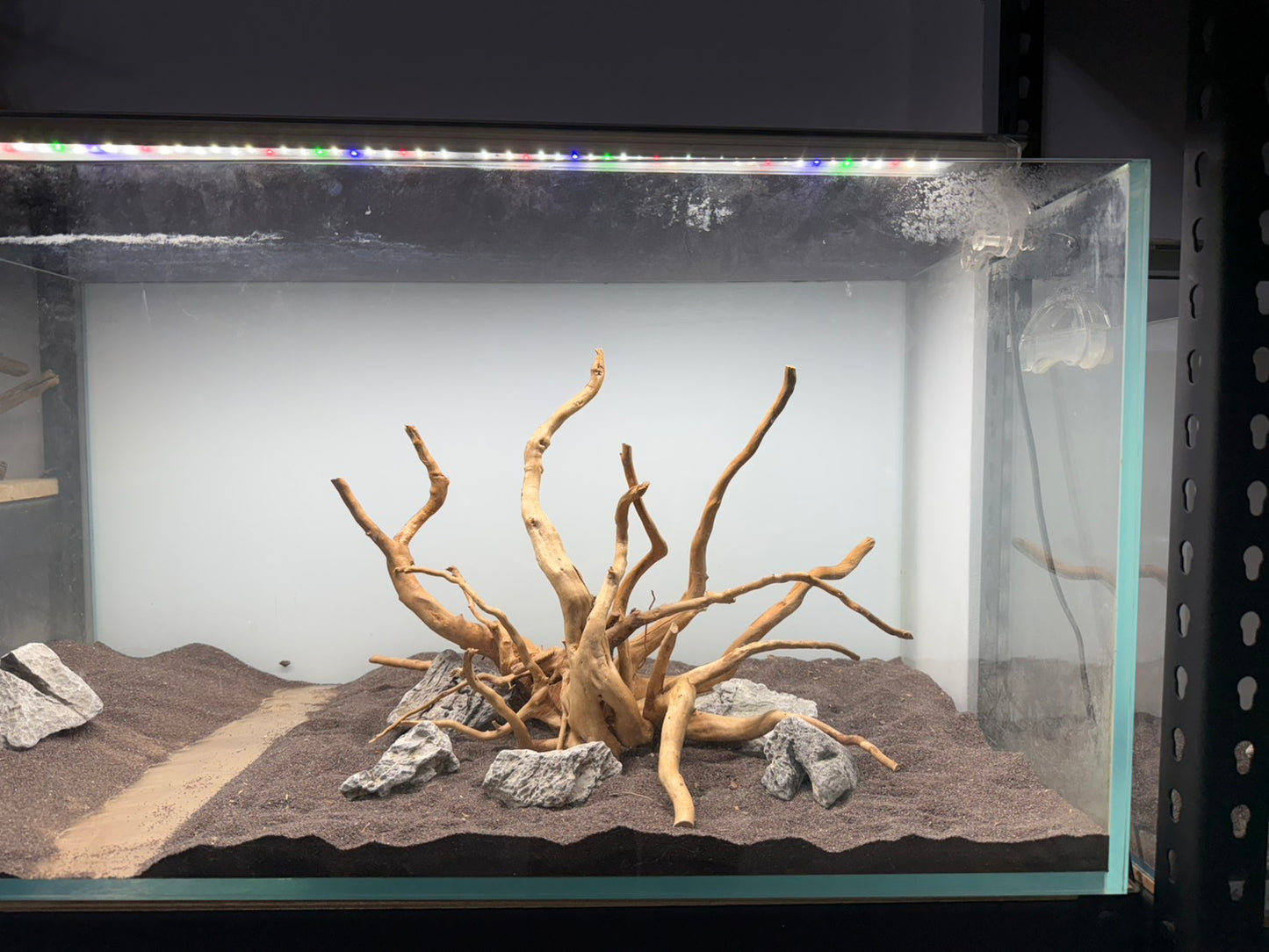 2尺高缸(60*45*45) 沉木造景