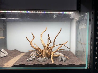 2尺高缸(60*45*45) 沉木造景