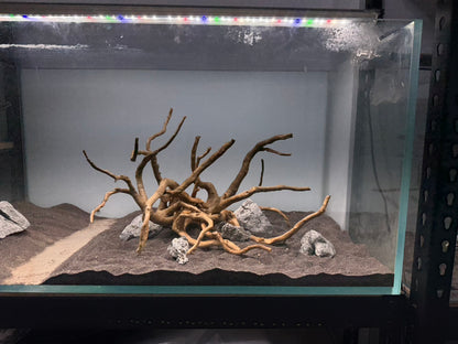 2尺高缸(60*45*45) 沉木造景