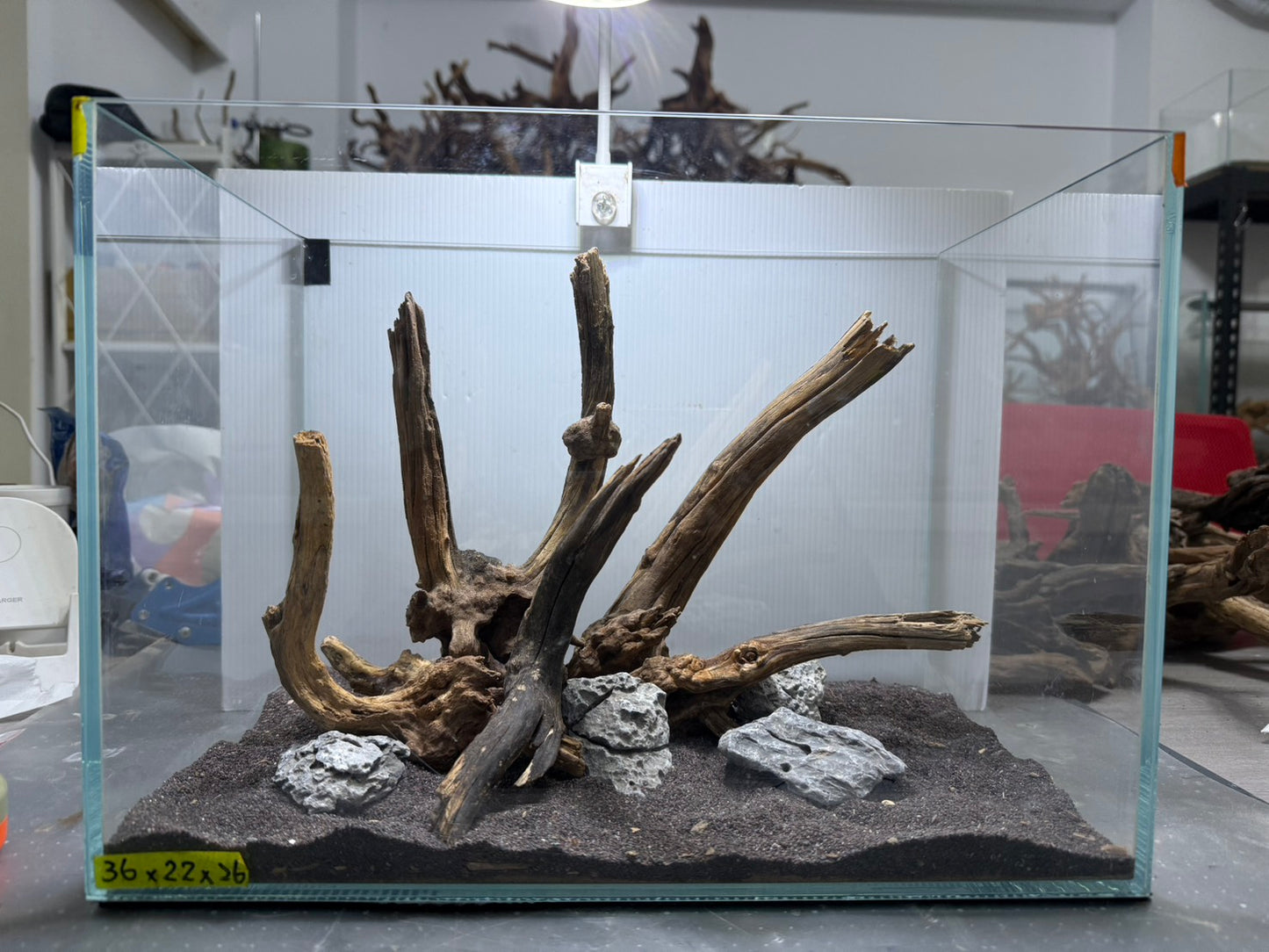 1.2尺標準缸(36*22*26) 沉木造景