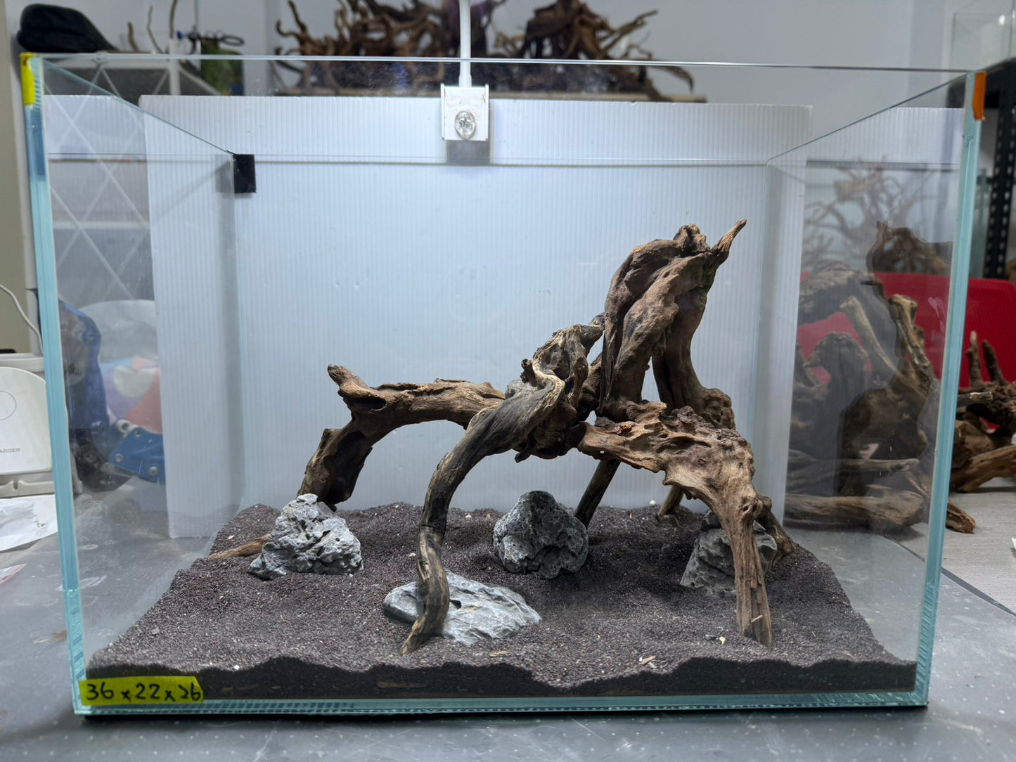 1.2尺標準缸(36*22*26) 沉木造景