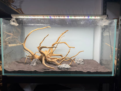 3尺矮缸(90*45*45) 沉木造景