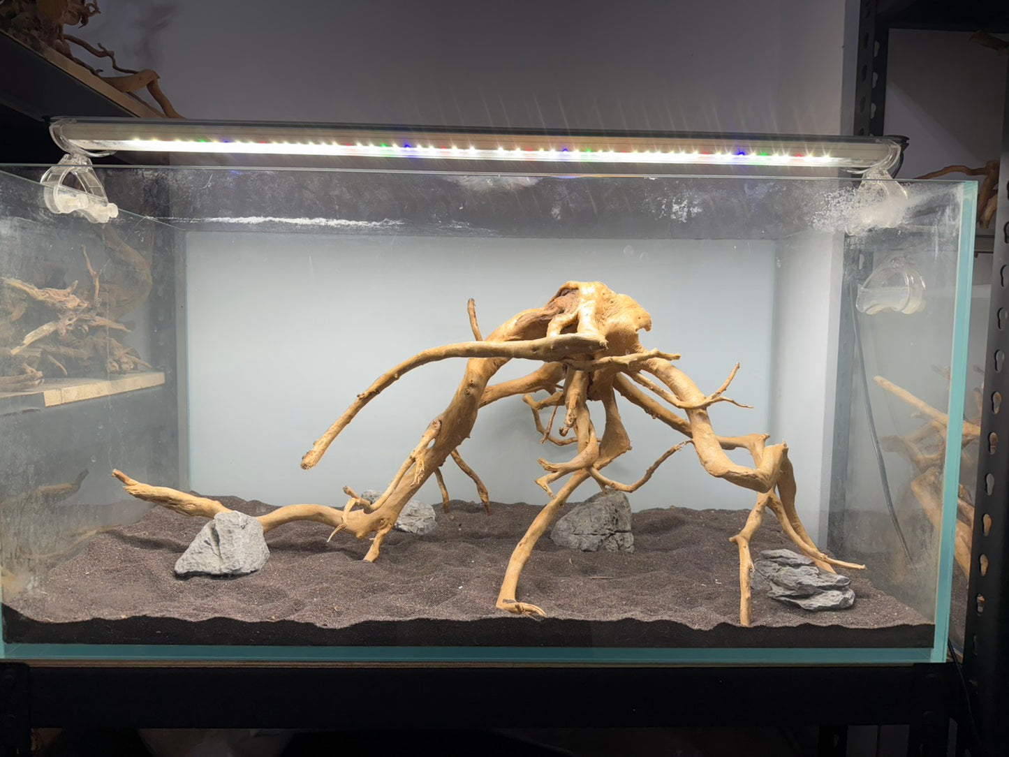 3尺矮缸(90*45*45) 沉木造景