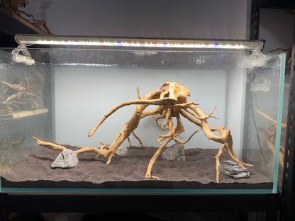 3尺矮缸(90*45*45) 沉木造景