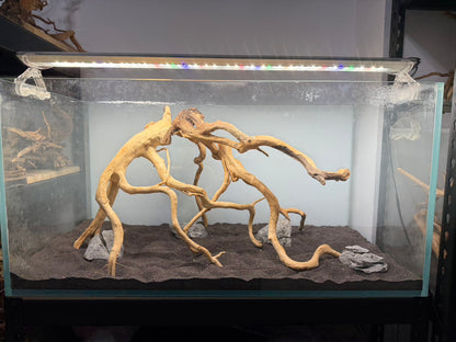 3尺矮缸(90*45*45) 沉木造景