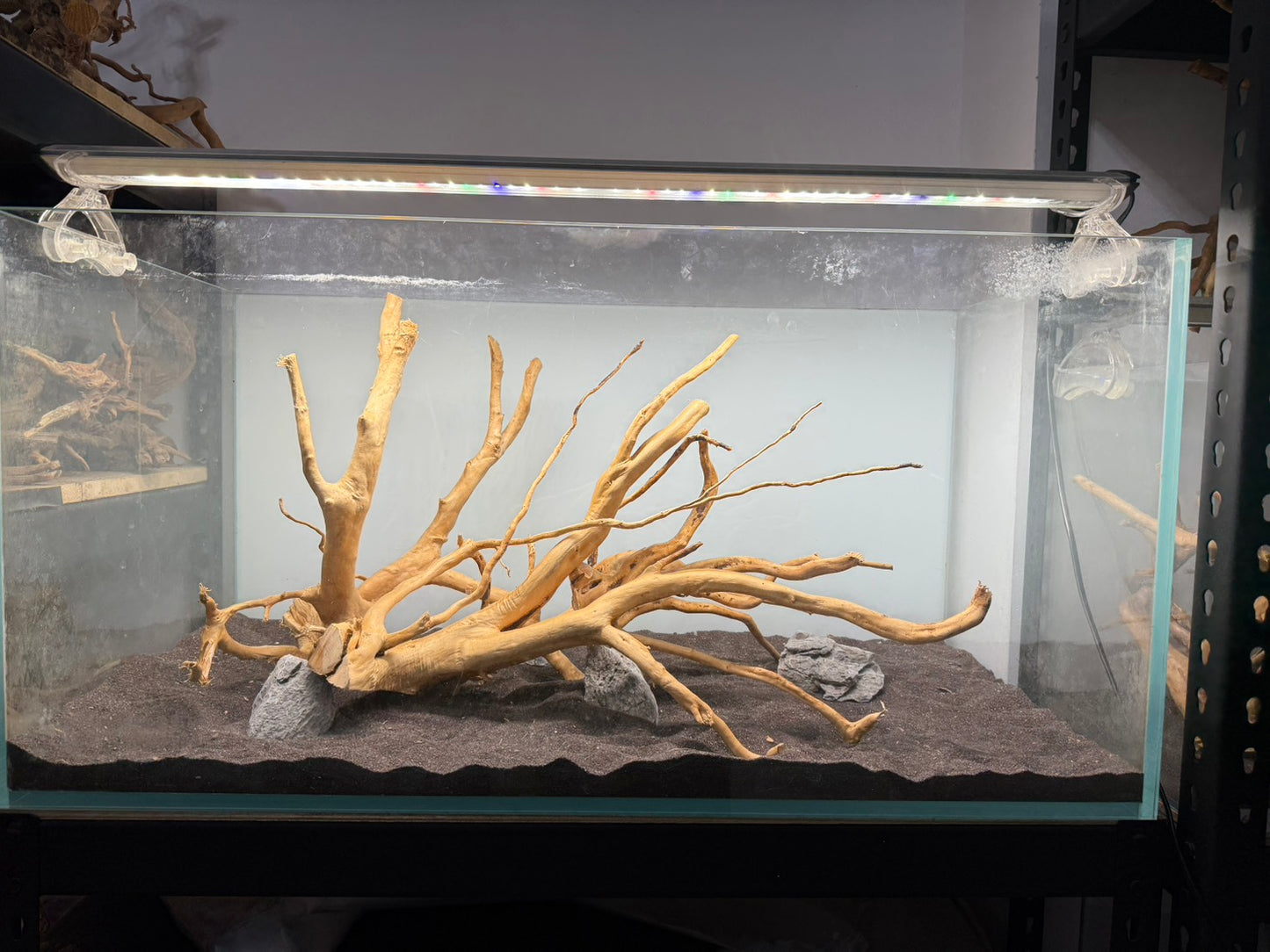 3尺矮缸(90*45*45) 沉木造景