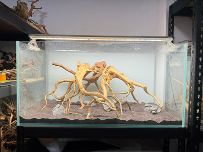 3尺矮缸(90*45*45) 沉木造景