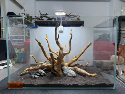 1.5尺標準缸(45*27*30) 沉木造景