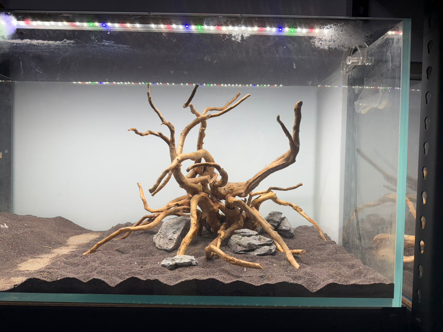 2尺高缸(60*45*45) 沉木造景