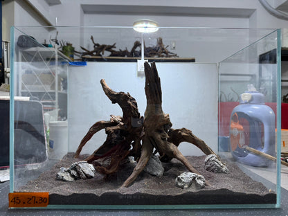 1.5尺標準缸(45*27*30) 沉木造景