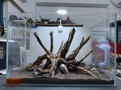 1.5尺標準缸(45*27*30) 沉木造景