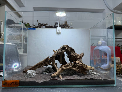 1.5尺標準缸(45*27*30) 沉木造景