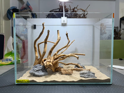 1.2尺標準缸(36*22*26) 沉木造景