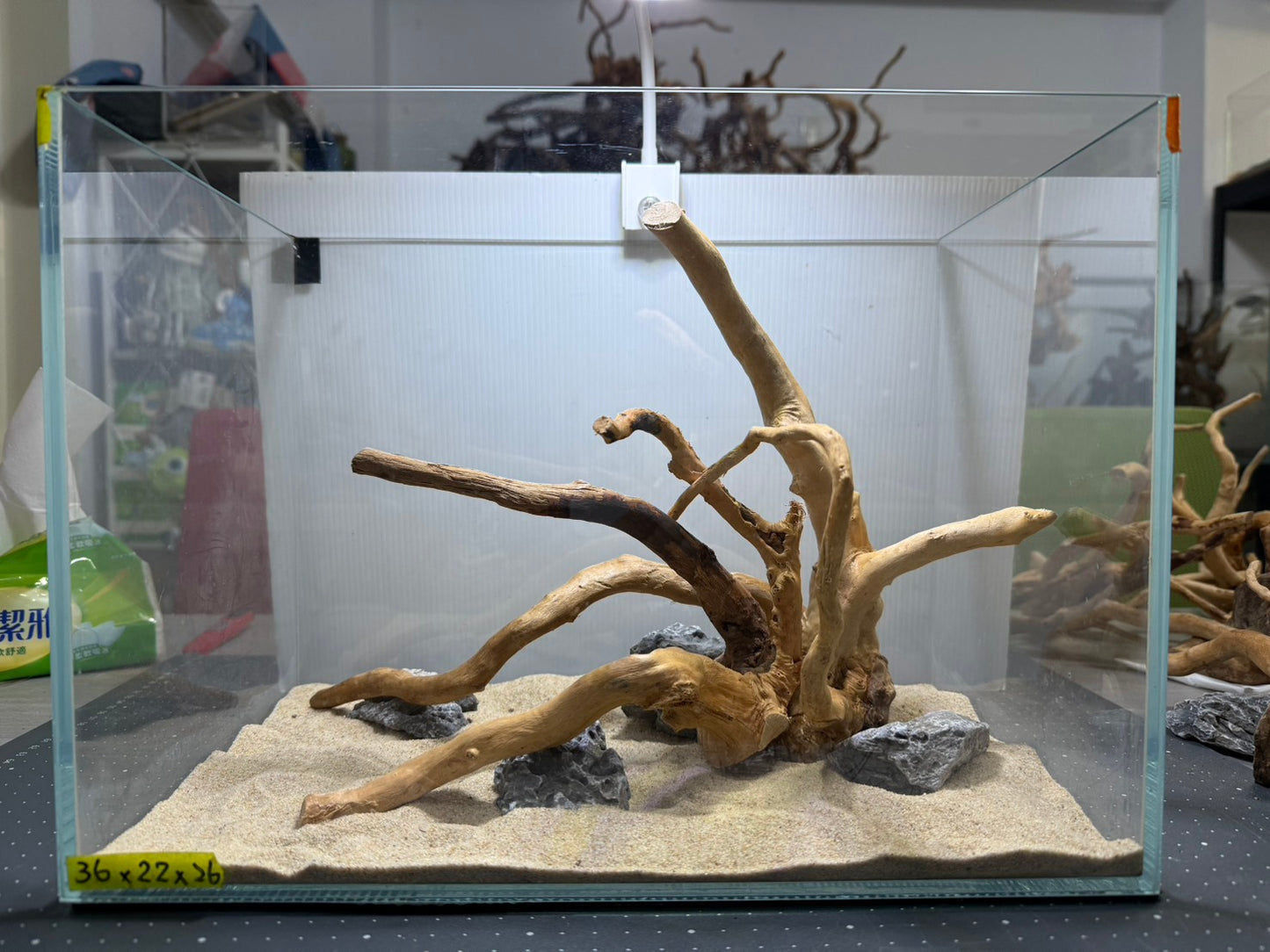 1.2尺標準缸(36*22*26) 沉木造景