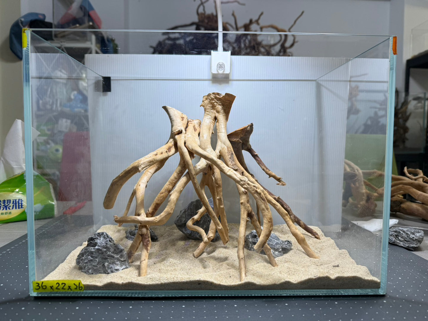 1.2尺標準缸(36*22*26) 沉木造景