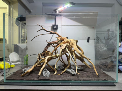 2尺標準缸(60*30*36) 沉木造景