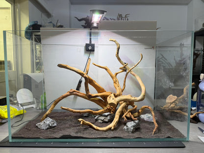 2尺標準缸(60*30*36) 沉木造景