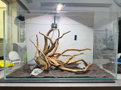 2尺標準缸(60*30*36) 沉木造景