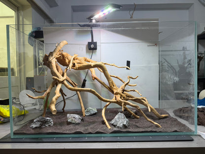 2尺標準缸(60*30*36) 沉木造景