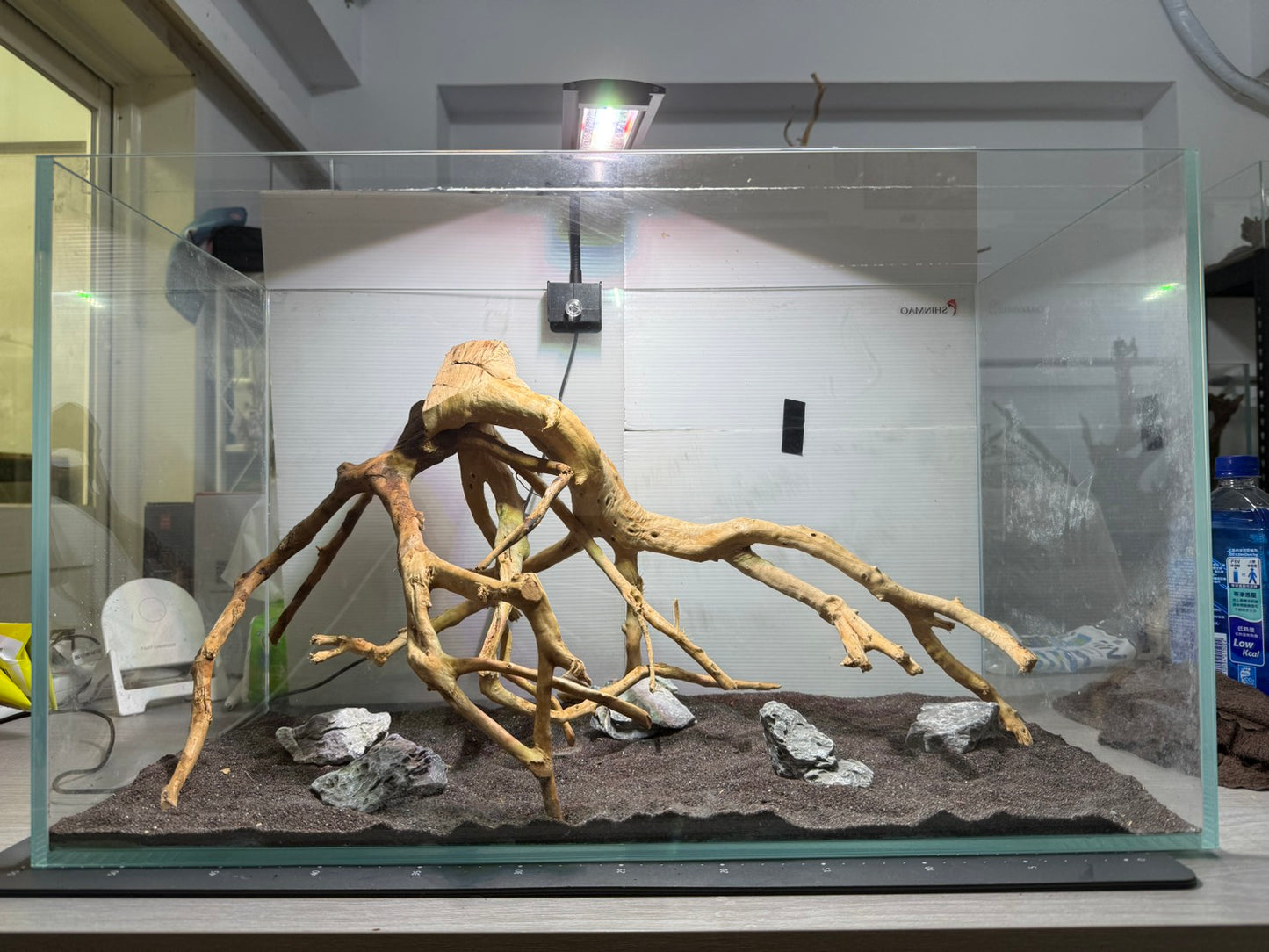 2尺標準缸(60*30*36) 沉木造景