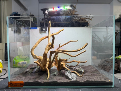1.5尺標準缸(45*27*30) 沉木造景