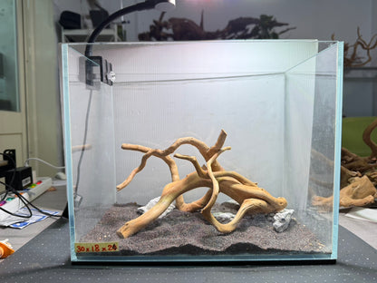 1尺標準缸(30*18*24) 沉木造景